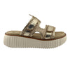 Pierre Dumas Sweet 6 Sandal in Gold Comb